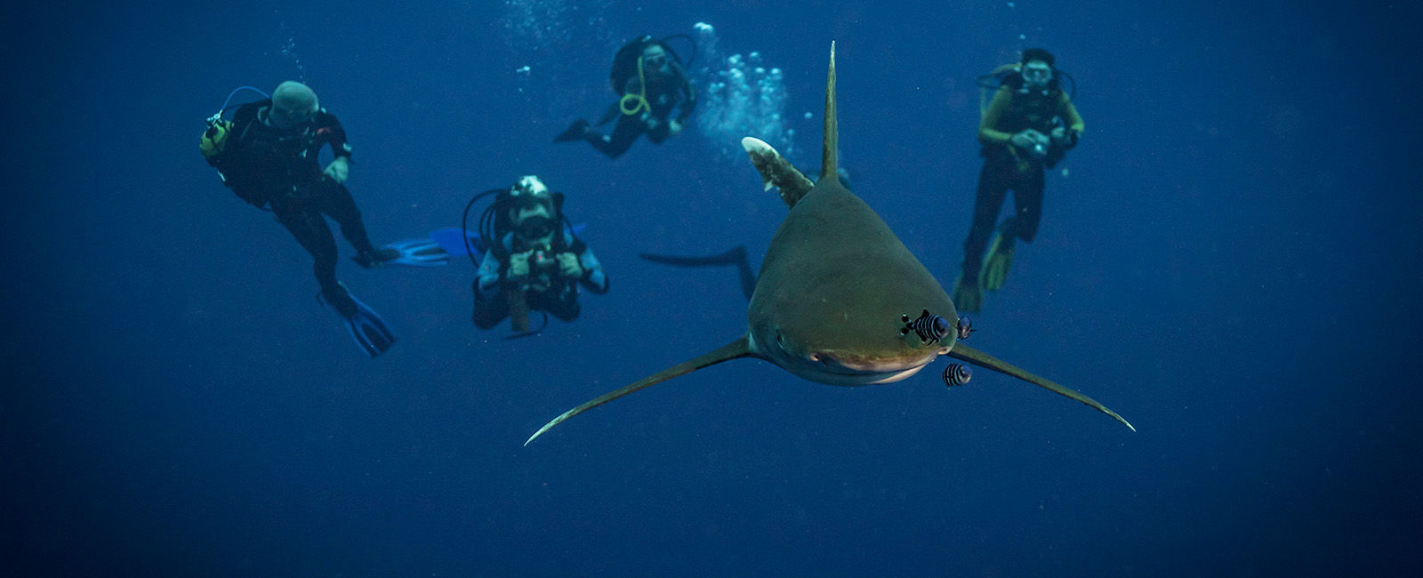 Red Sea Explorers